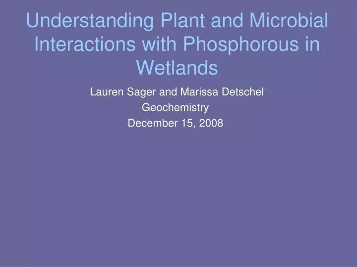 understanding plant and microbial interactions with phosphorous in wetlands
