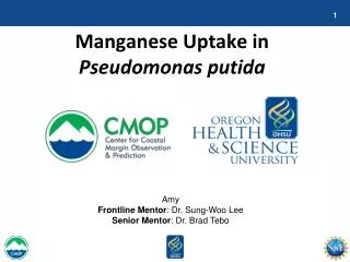 Manganese Uptake in Pseudomonas putida