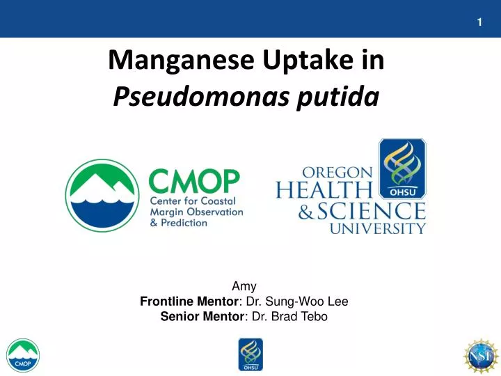 manganese uptake in pseudomonas putida