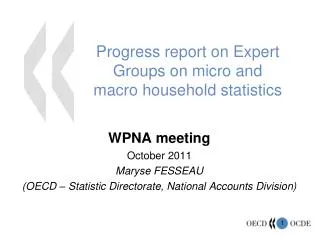 Progress report on Expert Groups on micro and macro household statistics