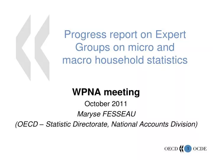 progress report on expert groups on micro and macro household statistics