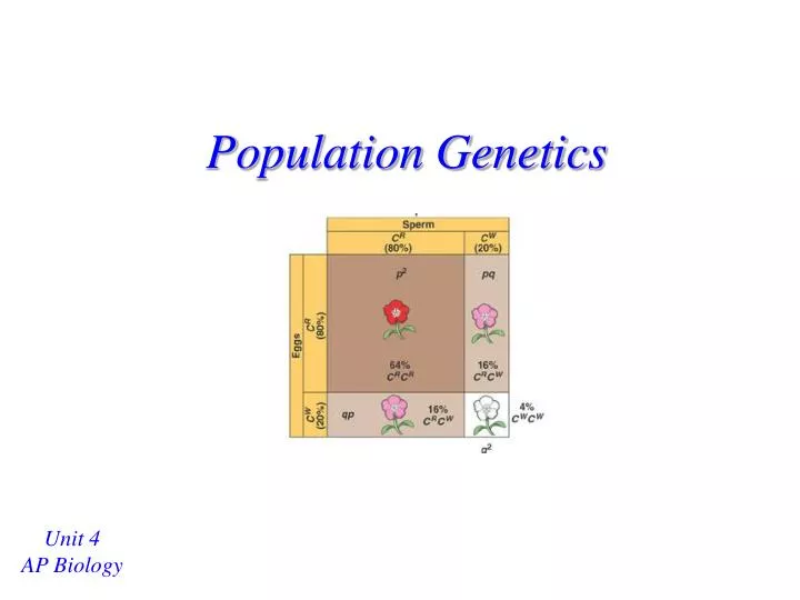 population genetics