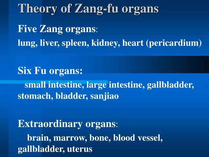 theory of zang fu organs