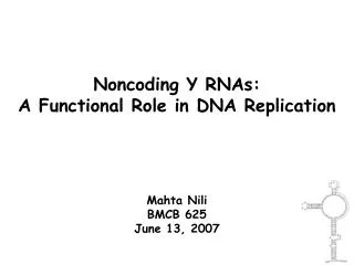 Noncoding Y RNAs: A Functional Role in DNA Replication