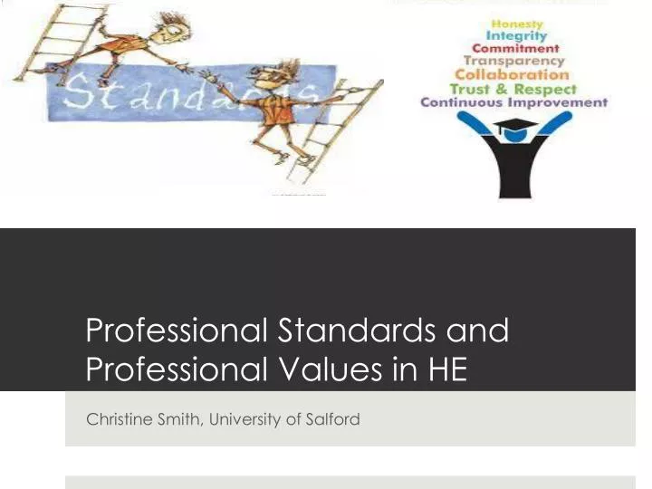 professional standards and professional values in he