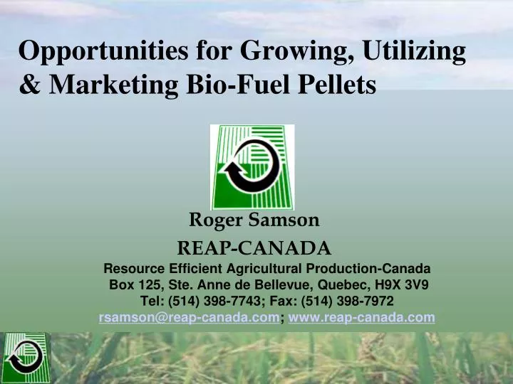 opportunities for growing utilizing marketing bio fuel pellets