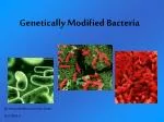 Genetically Modified Bacteria - slide 1