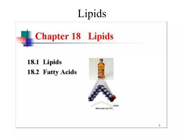 lipids