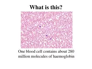 One blood cell contains about 280 million molecules of haemoglobin