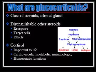 Class of steroids, adrenal gland Distinguishable other steroids Receptors Target cells Effects