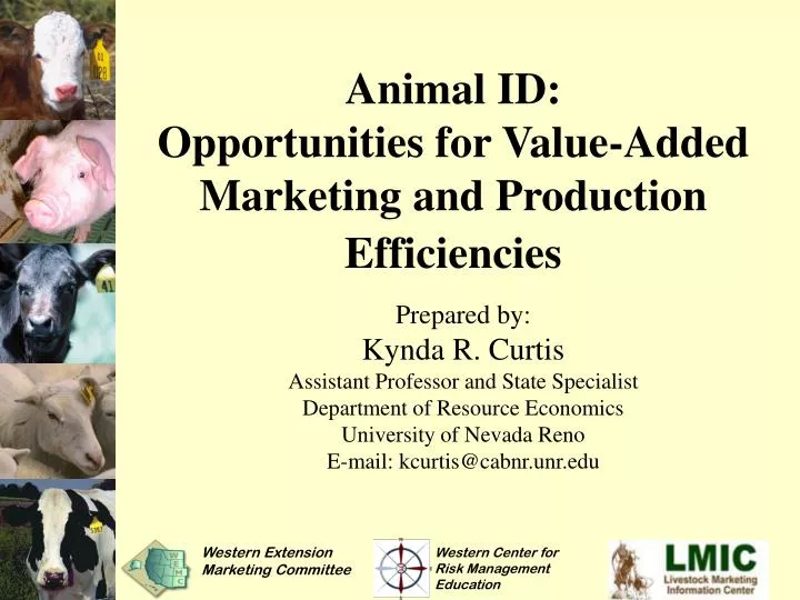 animal id opportunities for value added marketing and production efficiencies