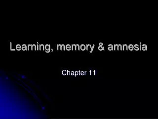Learning, memory &amp; amnesia
