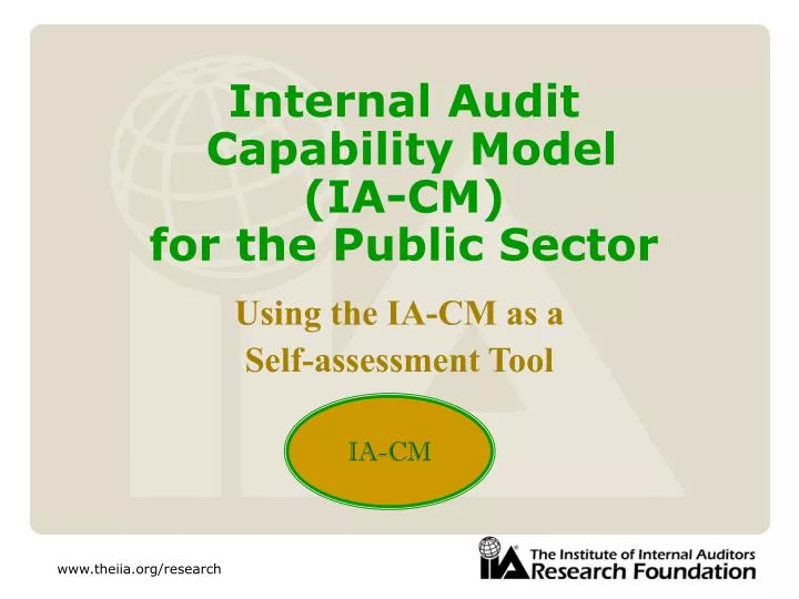 internal audit capability model ia cm for the public sector