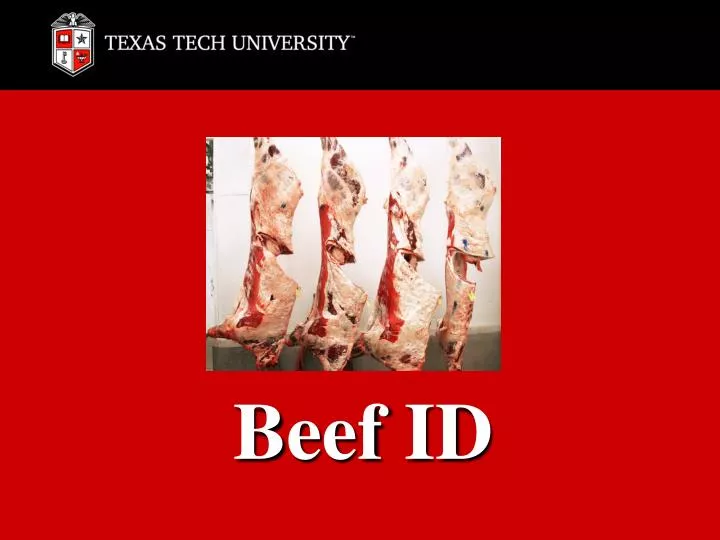 beef id