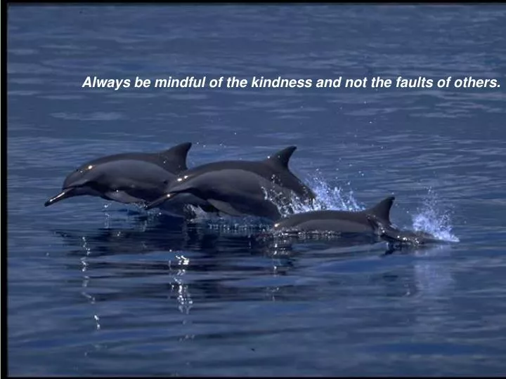 always be mindful of the kindness and not the faults of others