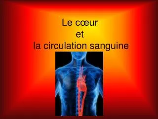 le c ur et la circulation sanguine