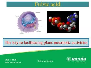 The key to facilitating plant metabolic activities