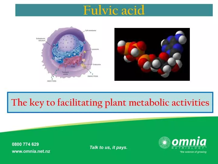 the key to facilitating plant metabolic activities