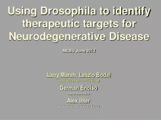 Using Drosophila to identify therapeutic targets for Neurodegenerative Disease MCBU June 2012