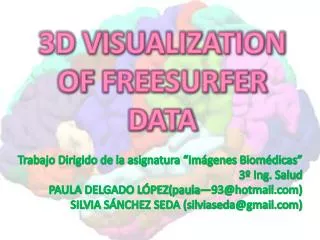 3d visualization of freesurfer data