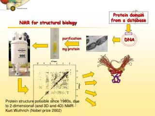 NMR for structural biology