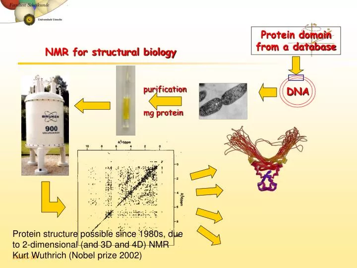 nmr for structural biology