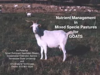 Nutrient Management in Mixed Specie Pastures for GOATS