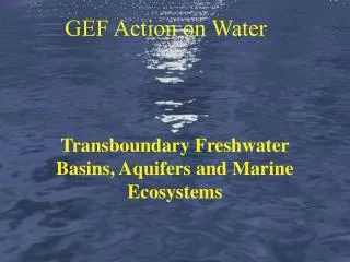 Transboundary Freshwater Basins, Aquifers and Marine Ecosystems