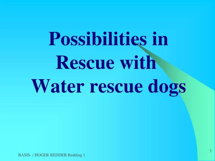 possibilities in rescue with water rescue dogs