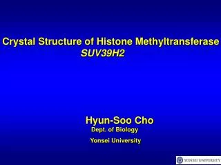 Crystal Structure of Histone Methyltransferase SUV39H2