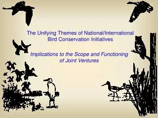 The Unifying Themes of National/International Bird Conservation Initiatives
