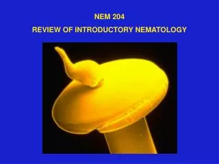 NEM 204 REVIEW OF INTRODUCTORY NEMATOLOGY