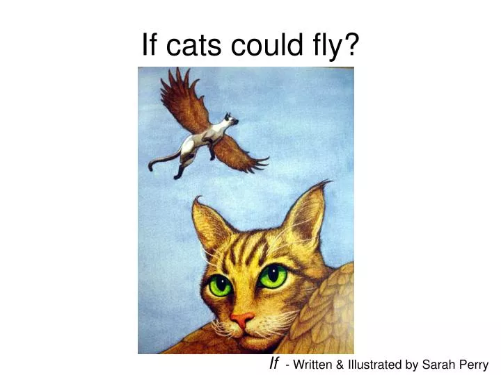 if cats could fly