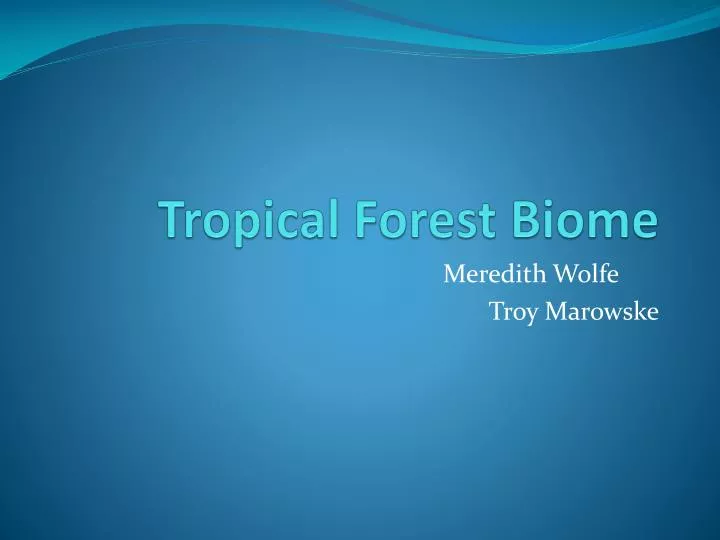 tropical forest biome