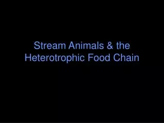 Stream Animals &amp; the Heterotrophic Food Chain
