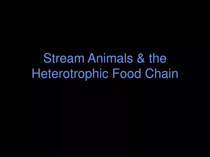 stream animals the heterotrophic food chain