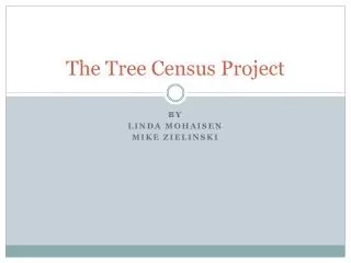 The Tree Census Project