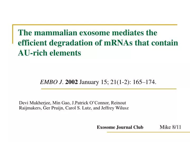 the mammalian exosome mediates the efficient degradation of mrnas that contain au rich elements