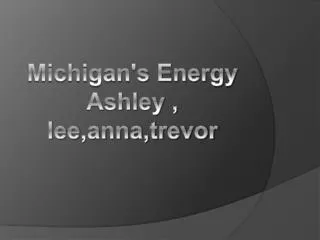 Michigan's Energy Ashley , lee,anna,trevor