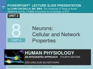 Neurons: Cellular and Network Properties