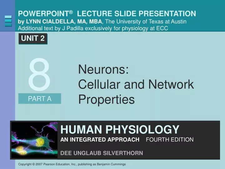 neurons cellular and network properties