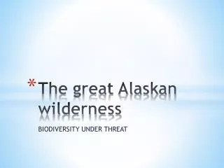 The great Alaskan wilderness