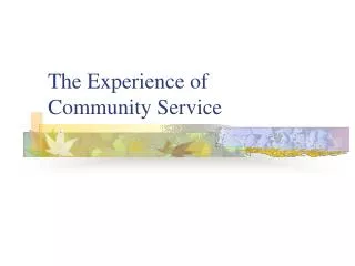 The Experience of Community Service