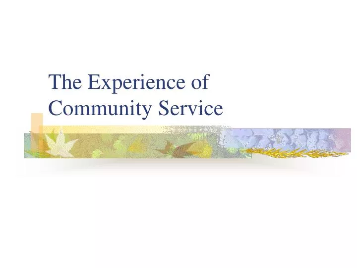 the experience of community service