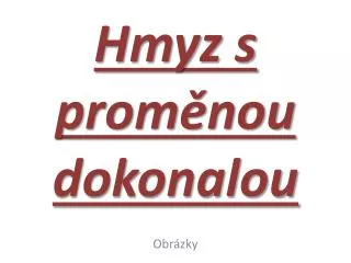 hmyz s prom nou dokonalou