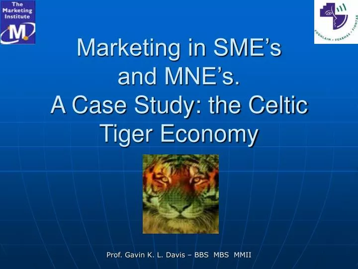 marketing in sme s and mne s a case study the celtic tiger economy