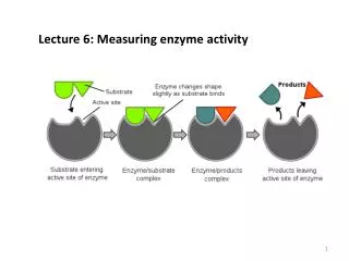 Lecture 6: Measuring enzyme activity