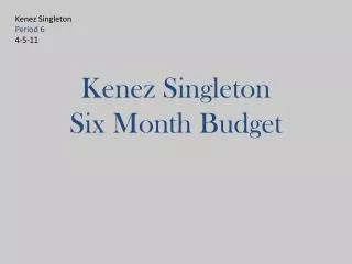 Kenez Singleton Six Month Budget