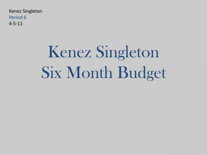 kenez singleton six month budget