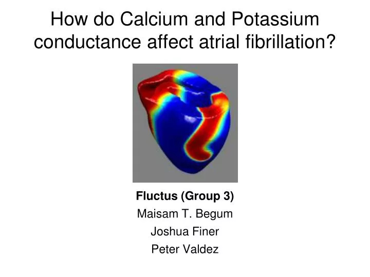 how do calcium and potassium conductance affect atrial fibrillation